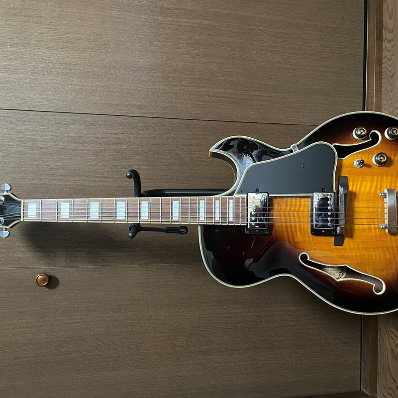 Ibanez AKJ95-VYS-12-01の画像